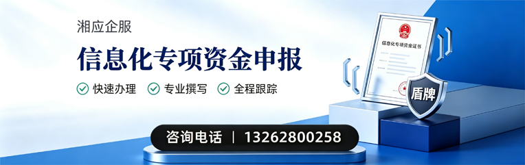 盐城信息化专项资金申报服务