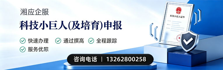 盐城科技小巨人及培育企业申报服务
