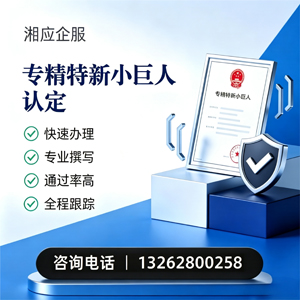 盐城专精特新小巨人申报服务