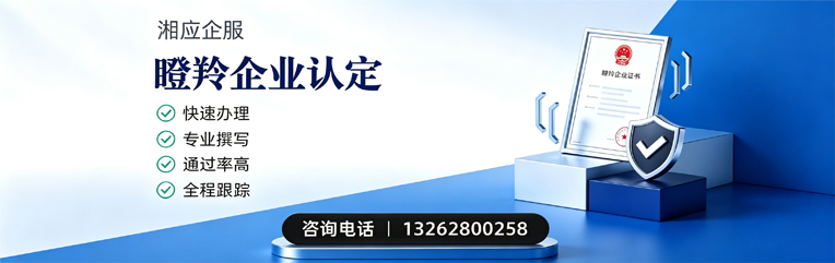 盐城瞪羚企业认定申报服务