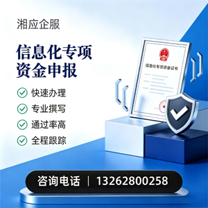 盐城信息化专项资金申报服务