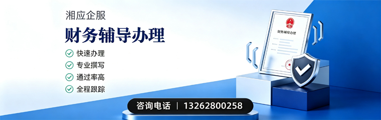 盐城财务辅导申请服务