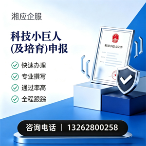 盐城科技小巨人及培育企业申报服务