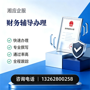 盐城财务辅导申请服务