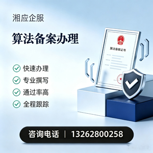 盐城算法备案申报服务