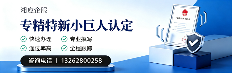盐城专精特新小巨人申报服务